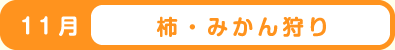 11月 柿・みかん狩り